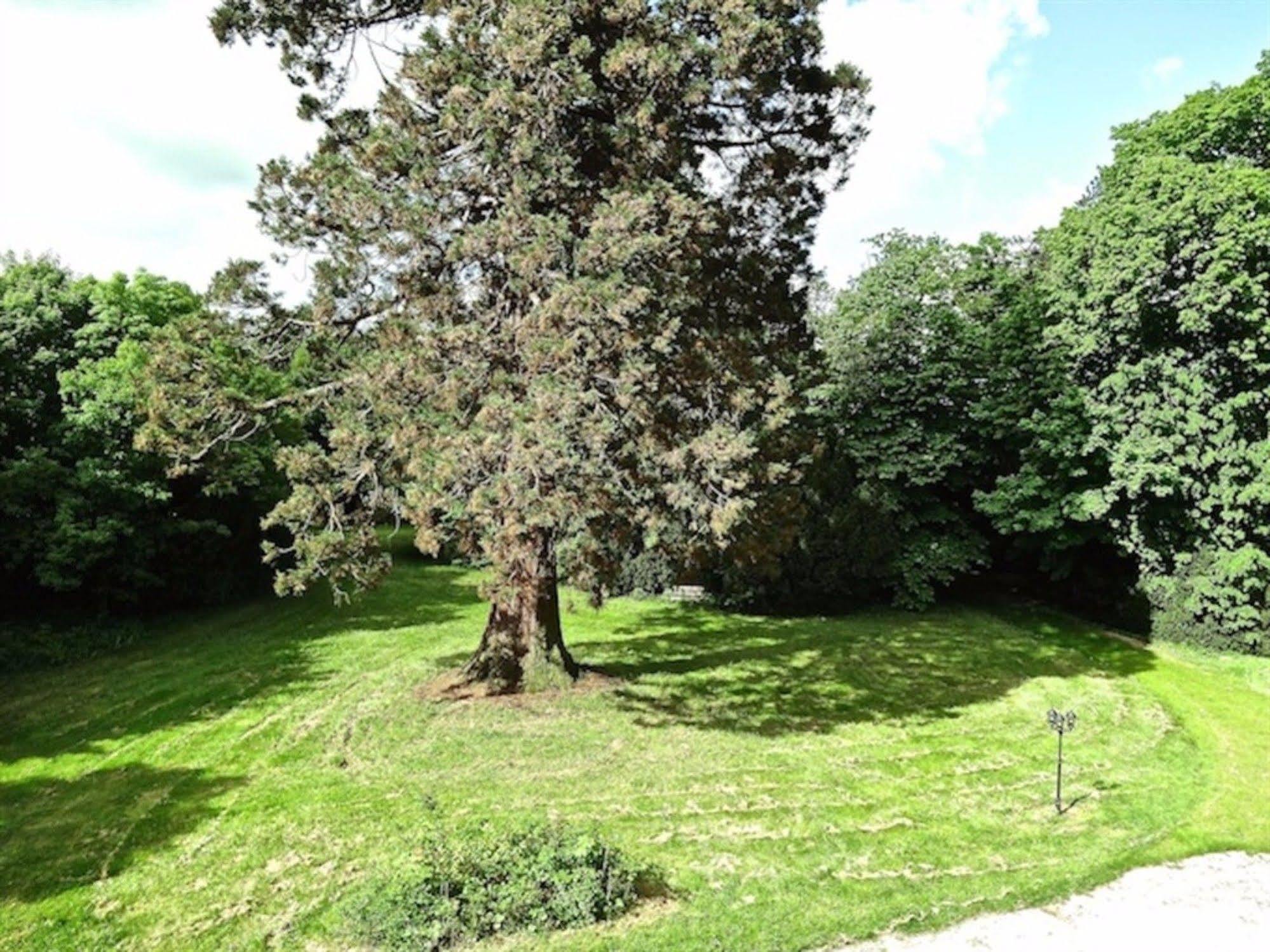 Tournon-Saint-Pierre Chateau Les Vallees المظهر الخارجي الصورة